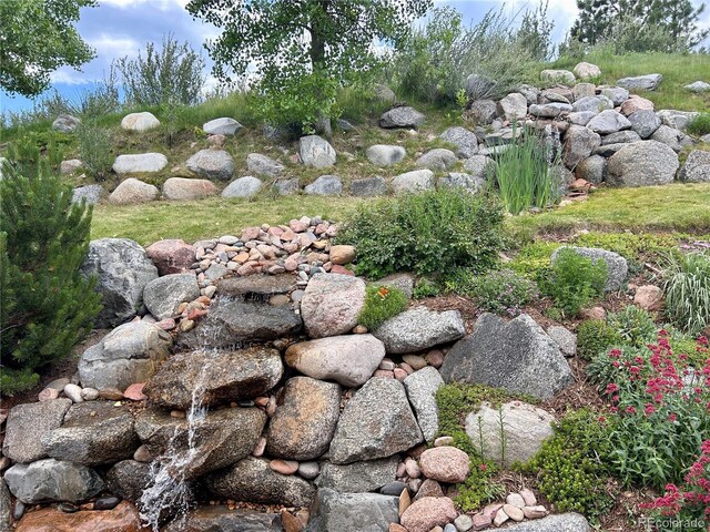 276 Ember Pl, Castle Rock, CO 80104 - photo 48