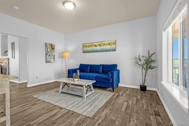 12255 Forest Green Dr, Elbert, CO 80106 - living room featuring wood finished floors, baseboards, and a fireplace