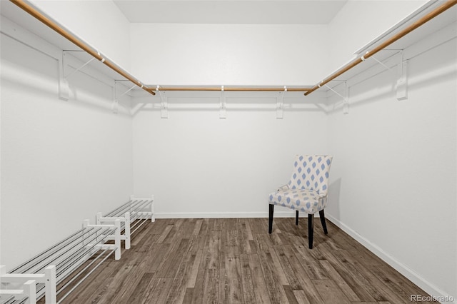 12255 Forest Green Dr, Elbert, CO 80106 - spacious closet featuring wood finished floors