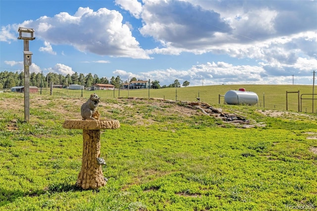 12255 Forest Green Dr, Elbert, CO 80106 - view of yard featuring a view of rural / pastoral area