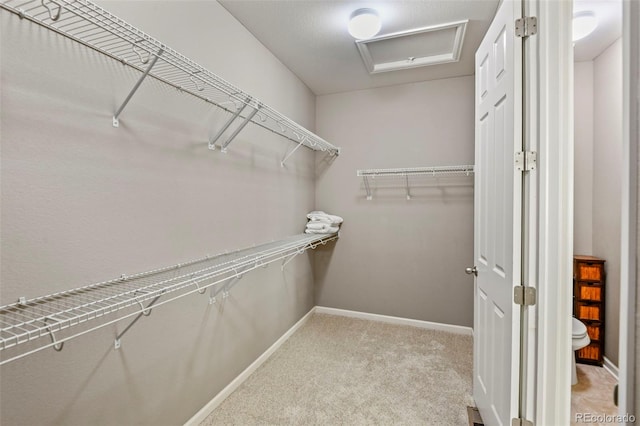 3014 E 143rd Dr, Thornton, CO 80602 - spacious closet with attic access and carpet