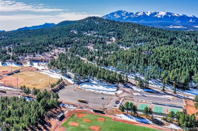 birds eye view of property featuring a mountain view and a wooded view