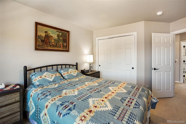 bedroom featuring carpet and a closet