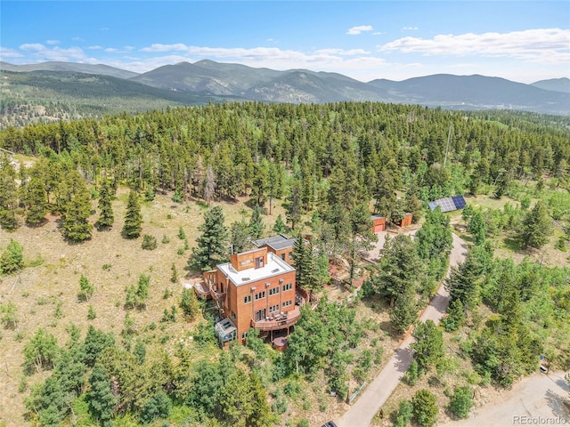 400 Alpine Way, Idaho Springs, CO 80452 - photo 1