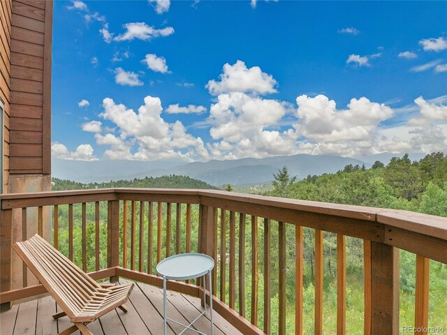 400 Alpine Way, Idaho Springs, CO 80452 - photo 24