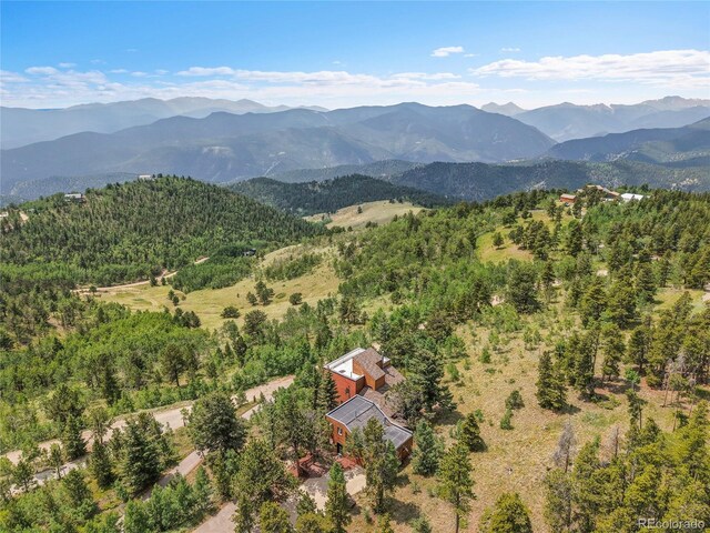 400 Alpine Way, Idaho Springs, CO 80452 - photo 25