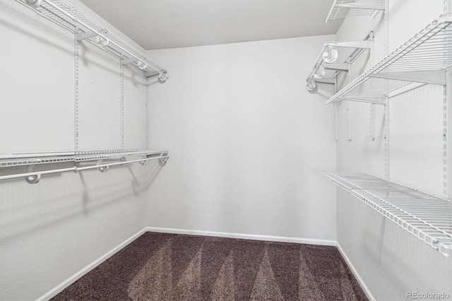 1457 Castle Creek Cir, Castle Rock, CO 80104 - spacious closet with carpet flooring