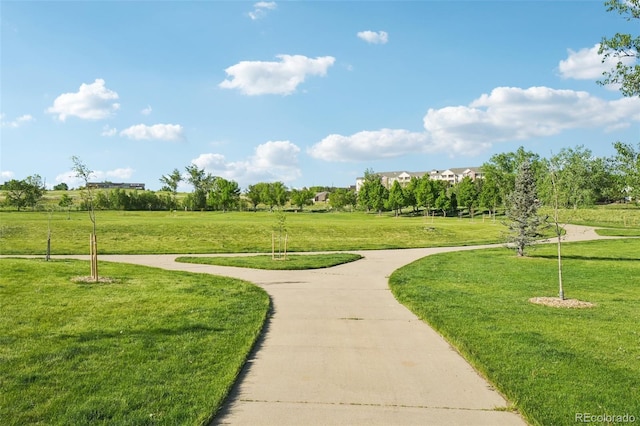 view of community with a lawn
