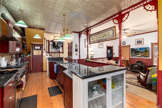 200 Rose St, Georgetown, CO 80444 - kitchen with high end range, light wood finished floors, an ornate ceiling, crown molding, and a ceiling fan