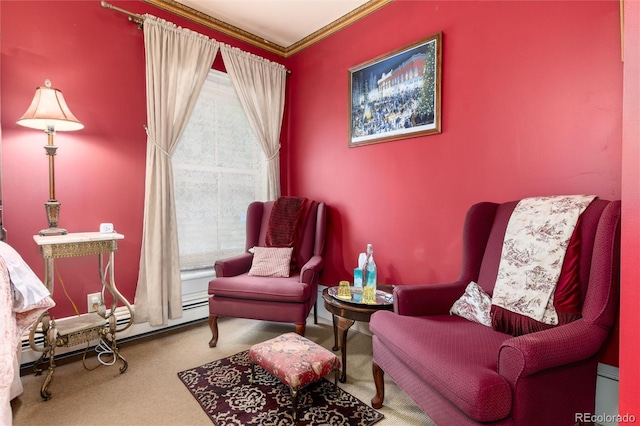 200 Rose St, Georgetown, CO 80444 - living area featuring carpet flooring and crown molding