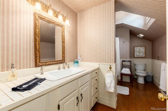 200 Rose St, Georgetown, CO 80444 - bathroom featuring wallpapered walls, wood finished floors, vanity, a wainscoted wall, and a skylight