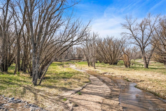 42363 Glen Abbey Dr, Elizabeth, CO 80107 - photo 44