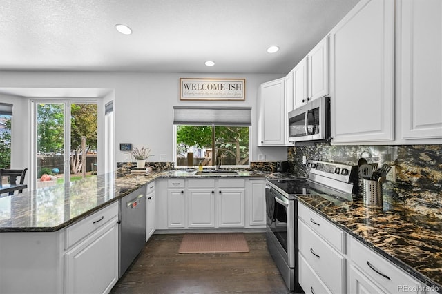 17395 E Dewberry Dr, Parker, CO 80134 - kitchen featuring stainless steel appliances, a peninsula, dark wood-type flooring, recessed lighting, and a sink