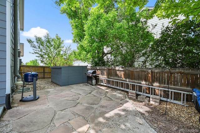17395 E Dewberry Dr, Parker, CO 80134 - fenced backyard with a patio and a grill