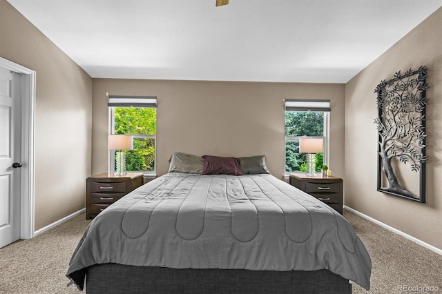 17395 E Dewberry Dr, Parker, CO 80134 - carpeted bedroom featuring baseboards