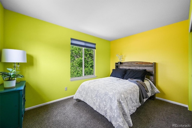 17395 E Dewberry Dr, Parker, CO 80134 - bedroom with carpet floors and baseboards