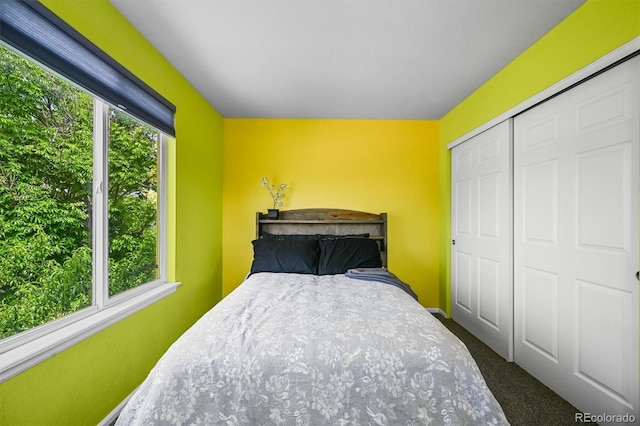 17395 E Dewberry Dr, Parker, CO 80134 - bedroom with carpet flooring and a closet