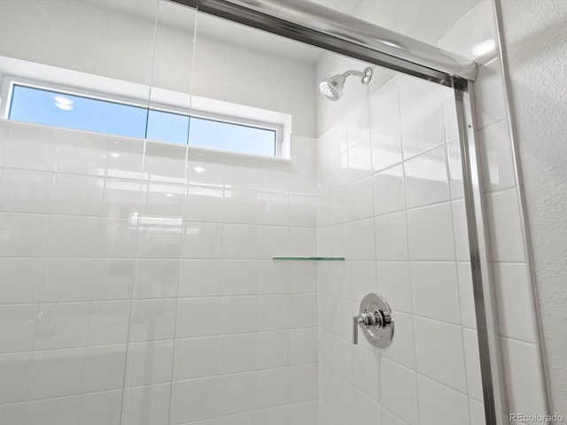 1023 Odessa Lake Rd, Severance, CO 80550 - bathroom featuring a tile shower