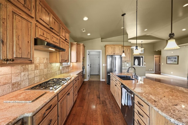 1743 Homestead Dr, Fort Lupton, CO 80621 - kitchen with appliances with stainless steel finishes, under cabinet range hood, a sink, lofted ceiling, and dark wood-style floors