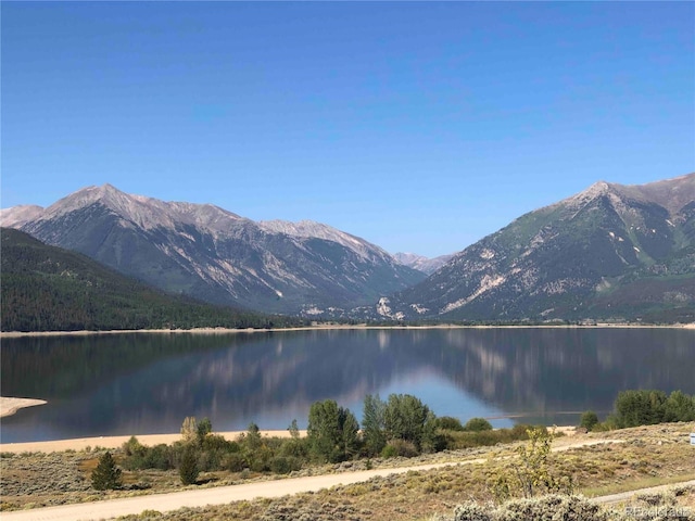 6296 County Road 10, Twin Lakes, CO 81251 - photo 3