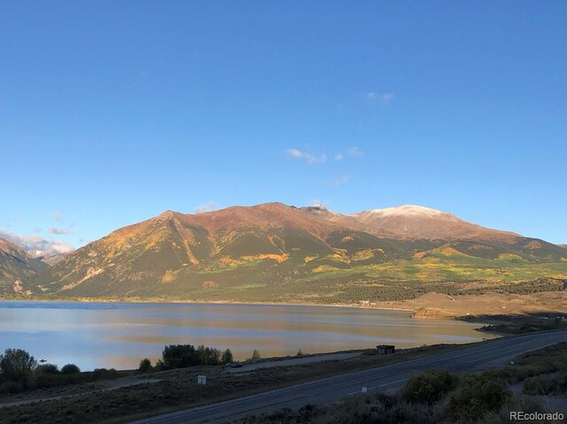 6296 County Road 10, Twin Lakes, CO 81251 - photo 8