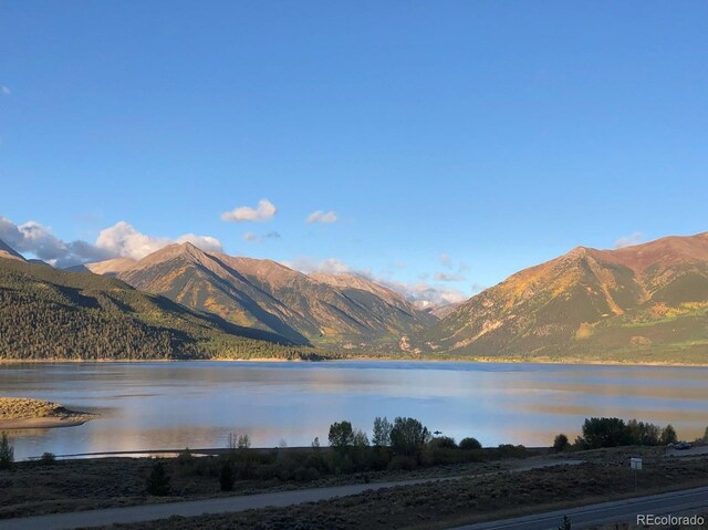 6296 County Road 10, Twin Lakes, CO 81251 - photo 10