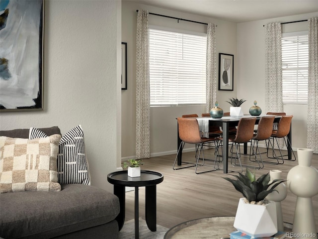 dining room featuring baseboards and wood finished floors