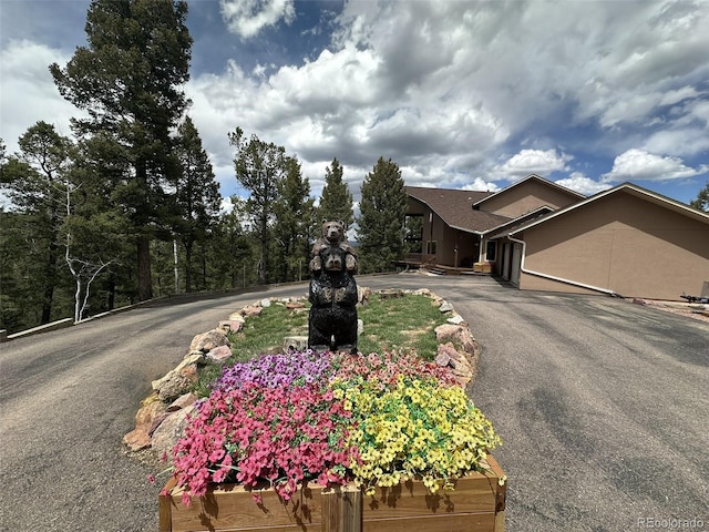 319 Summit Rd, Woodland Park, CO 80863 - ranch-style home with asphalt driveway
