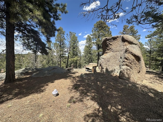 319 Summit Rd, Woodland Park, CO 80863 - view of yard