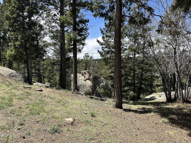 319 Summit Rd, Woodland Park, CO 80863 - view of woods