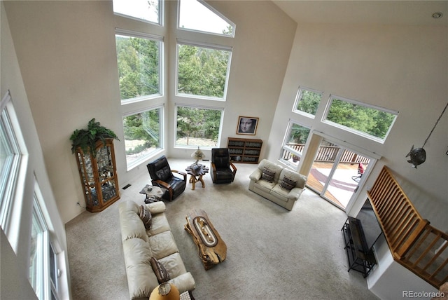 319 Summit Rd, Woodland Park, CO 80863 - carpeted living area featuring a towering ceiling