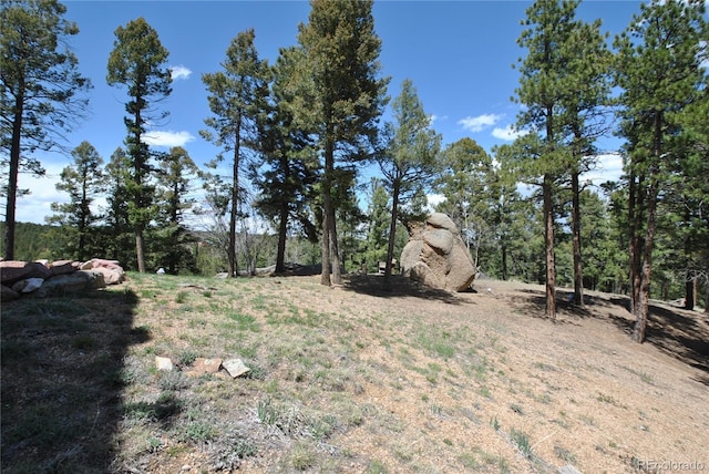 319 Summit Rd, Woodland Park, CO 80863 - view of yard
