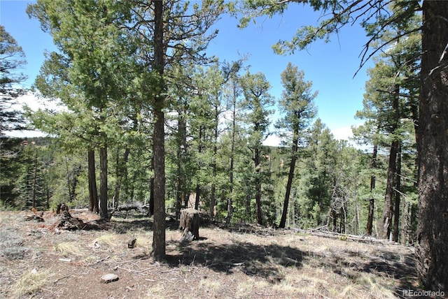 319 Summit Rd, Woodland Park, CO 80863 - view of wooded area