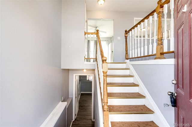 staircase featuring hardwood / wood-style flooring and ceiling fan