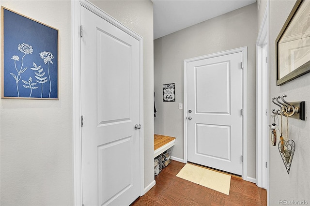 mudroom with dark hardwood / wood-style flooring