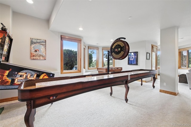 9737 Elkhorn St, Littleton, CO 80127 - photo 33