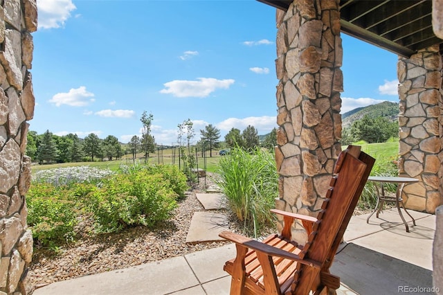 9737 Elkhorn St, Littleton, CO 80127 - photo 43