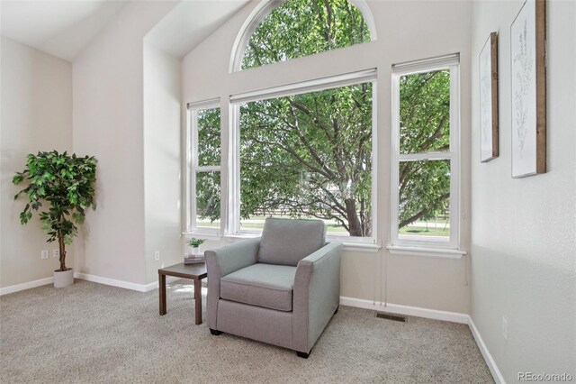 13959 E 106th Ave, Commerce City, CO 80022 - photo 7