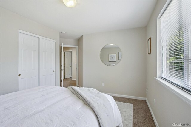 13959 E 106th Ave, Commerce City, CO 80022 - photo 18