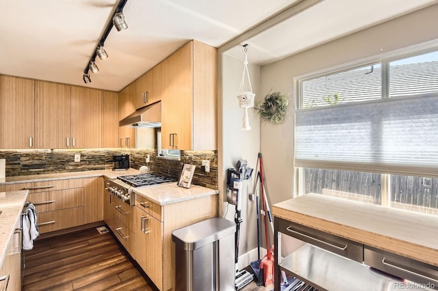 9545 Grand Cypress Cv, Lone Tree, CO 80124 - kitchen featuring under cabinet range hood, stainless steel gas stovetop, rail lighting, and backsplash