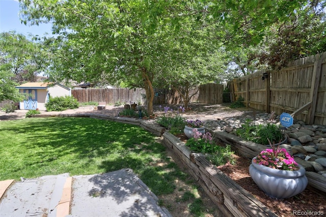 view of yard with a shed