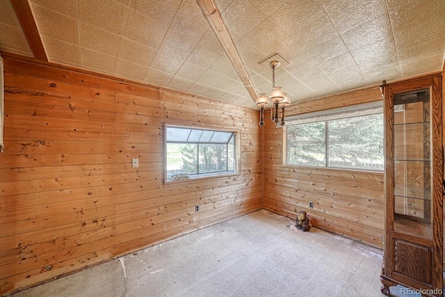 6130 County Road 328, Westcliffe, CO 81252 - spare room with carpet and wooden walls