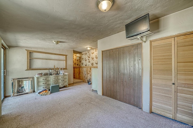 6130 County Road 328, Westcliffe, CO 81252 - unfurnished living room with carpet