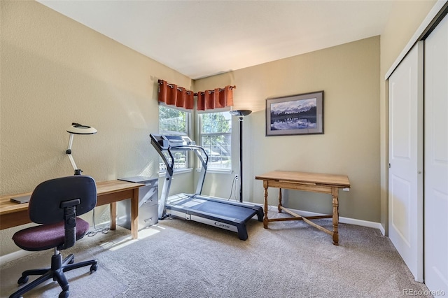 exercise area with carpet flooring