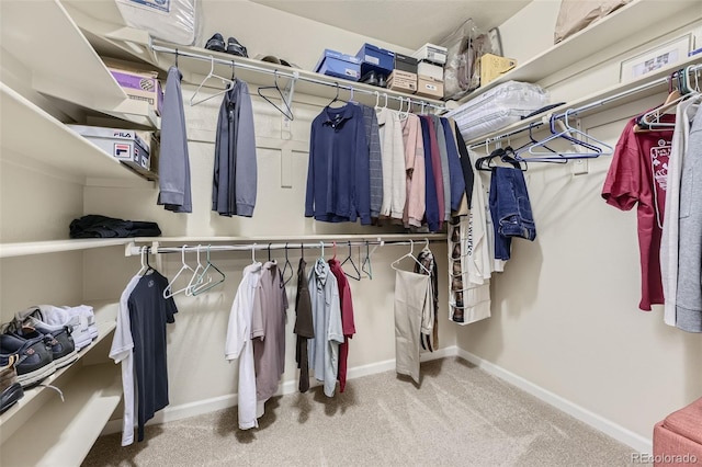 walk in closet with carpet flooring