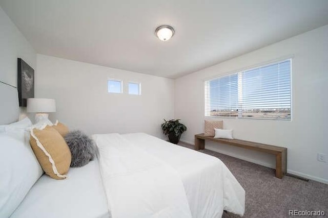 13588 E 103rd Pl, Commerce City, CO 80022 - carpeted bedroom featuring multiple windows