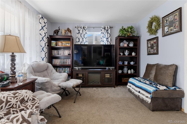 6751 Locust St, Commerce City, CO 80022 - photo 4