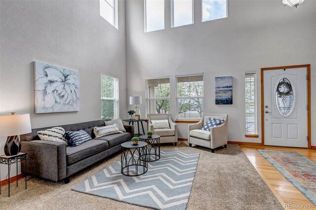 living room featuring baseboards, wood finished floors, and a towering ceiling