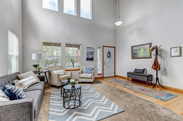 living area with baseboards, a high ceiling, and wood finished floors