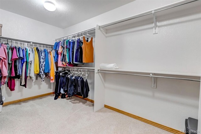 spacious closet with carpet